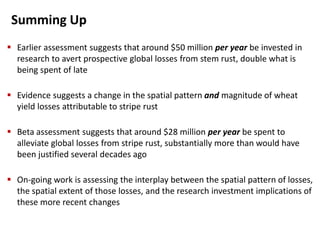 Summing Up
 Earlier assessment suggests that around $50 million per year be invested in
research to avert prospective global losses from stem rust, double what is
being spent of late
 Evidence suggests a change in the spatial pattern and magnitude of wheat
yield losses attributable to stripe rust
 Beta assessment suggests that around $28 million per year be spent to
alleviate global losses from stripe rust, substantially more than would have
been justified several decades ago
 On-going work is assessing the interplay between the spatial pattern of losses,
the spatial extent of those losses, and the research investment implications of
these more recent changes
 