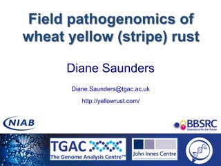 Field pathogenomics of
wheat yellow (stripe) rust
Diane Saunders
Diane.Saunders@tgac.ac.uk
http://yellowrust.com/
 