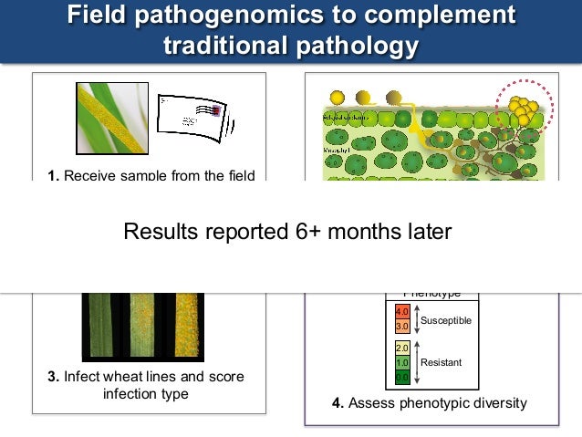 pathogenomics the genetics of pathogens Plant pathogenomics and their challenges and opportunities analyzing of pathogenic genome identification of genetic sources of virulence. pathogenomics the genetics of pathogens Plant pathogenomics and their challenges and opportunities analyzing of pathogenic genome identification of genetic sources of virulence.