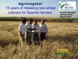 Ciudad Obregón
Ignacio Solís
March 2014
Agrovegetal
15 years of releasing new wheat
cultivars for Spanish farmers
 