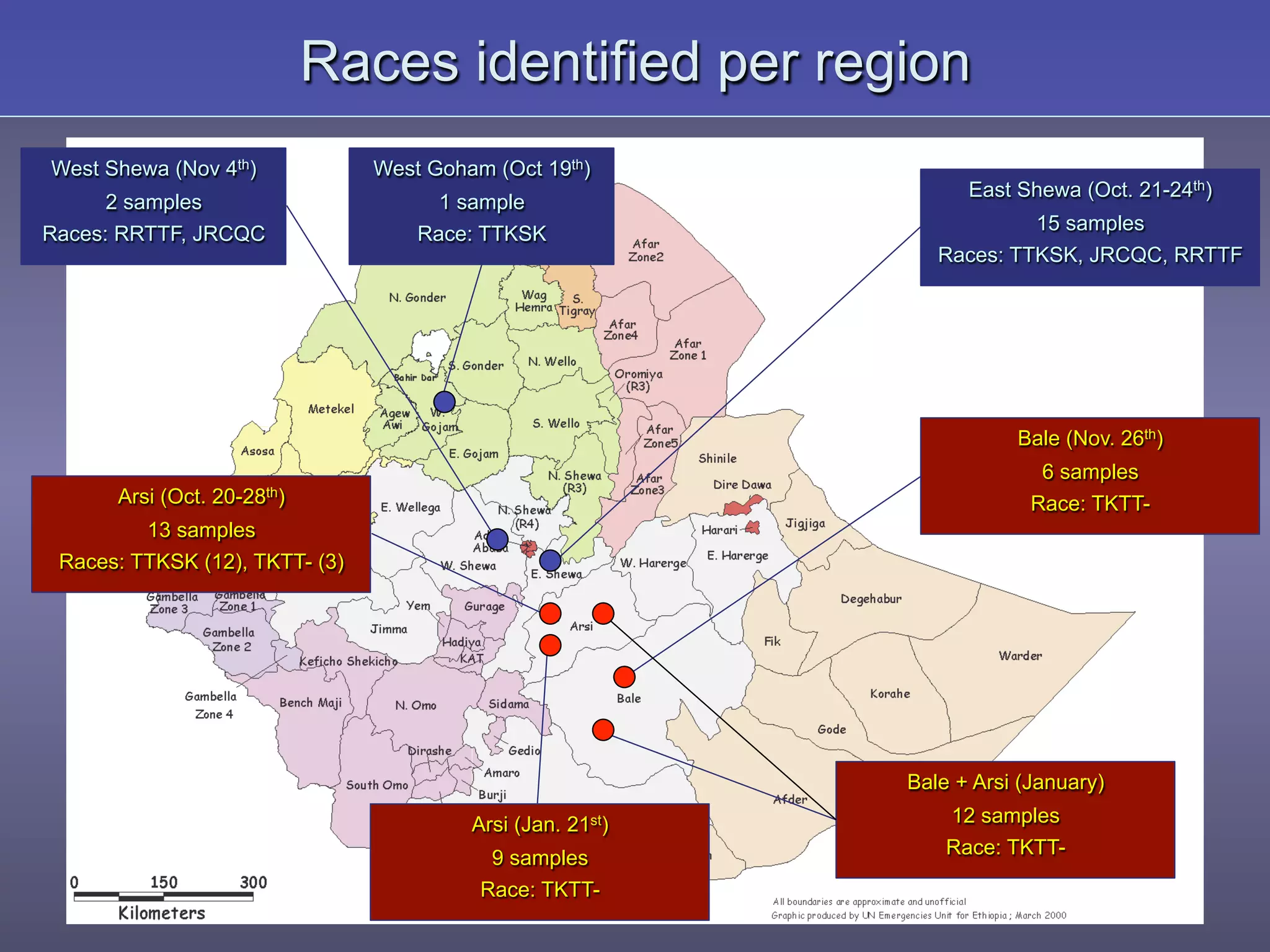 Races identified per region
West Shewa (Nov 4th)
2 samples
Races: RRTTF, JRCQC
East Shewa (Oct. 21-24th)
15 samples
Races: TTKSK, JRCQC, RRTTF
West Goham (Oct 19th)
1 sample
Race: TTKSK
Arsi (Oct. 20-28th)
13 samples
Races: TTKSK (12), TKTT- (3)
Arsi (Jan. 21st)
9 samples
Race: TKTT-
Bale (Nov. 26th)
6 samples
Race: TKTT-
Bale + Arsi (January)
12 samples
Race: TKTT-
 