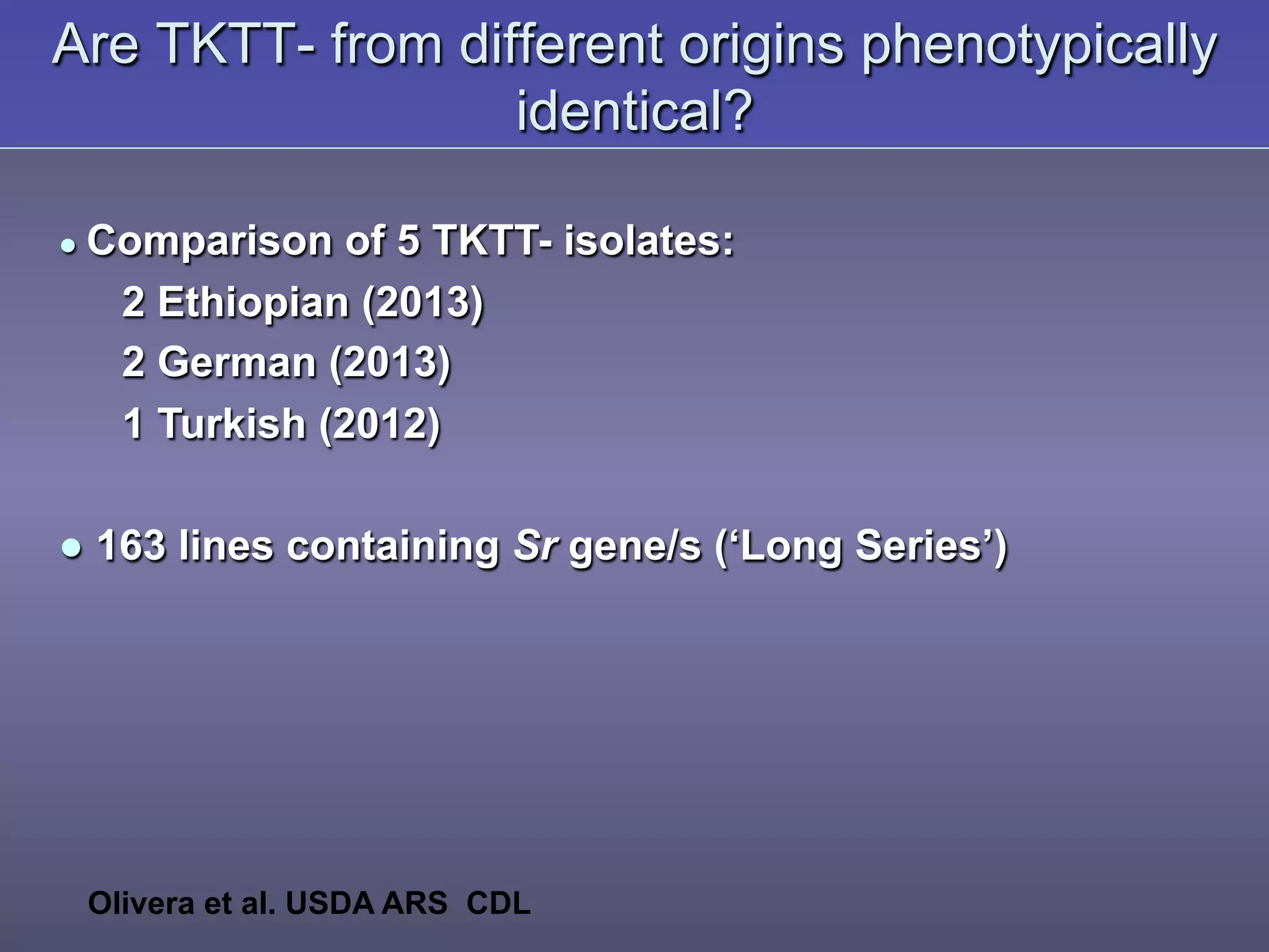 Are TKTT- from different origins phenotypically
identical?
● Comparison of 5 TKTT- isolates:
2 Ethiopian (2013)
2 German (2013)
1 Turkish (2012)
● 163 lines containing Sr gene/s (‘Long Series’)
Olivera et al. USDA ARS CDL
 