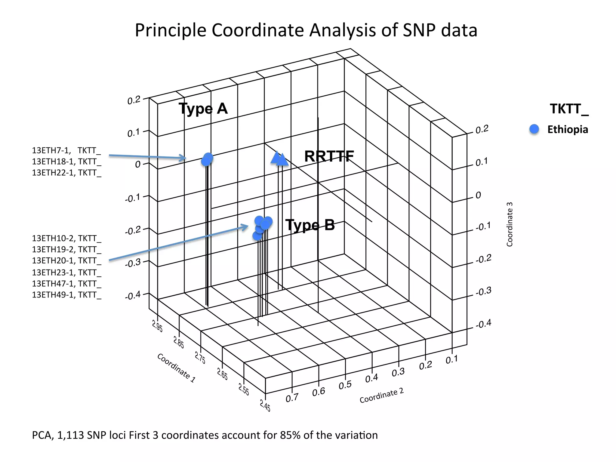 0.2
0.1
0
-0.1
-0.2
-0.3
-0.4
BB BBB BB
BBBBBB
B
-0.4
-0.3
-0.2
-0.1
0
0.1
0.2
2.45
2.55
2.65
2.75
2.85
2.95
0.1
0.2
0.3
0.4
0.5
0.6
0.7 Coordinate	
  2	
  
Coordinate	
  3	
  
	
  
13ETH7-­‐1,	
  	
  	
  TKTT_	
  
13ETH18-­‐1,	
  TKTT_	
  
13ETH22-­‐1,	
  TKTT_	
  
Principle	
  Coordinate	
  Analysis	
  of	
  SNP	
  data	
  
	
  
13ETH10-­‐2,	
  TKTT_	
  
13ETH19-­‐2,	
  TKTT_	
  
13ETH20-­‐1,	
  TKTT_	
  
13ETH23-­‐1,	
  TKTT_	
  
13ETH47-­‐1,	
  TKTT_	
  
13ETH49-­‐1,	
  TKTT_	
  
Ethiopia	
  
TKTT_	
  
PCA,	
  1,113	
  SNP	
  loci	
  First	
  3	
  coordinates	
  account	
  for	
  85%	
  of	
  the	
  variaJon	
  
Type B
Type A
RRTTF
 