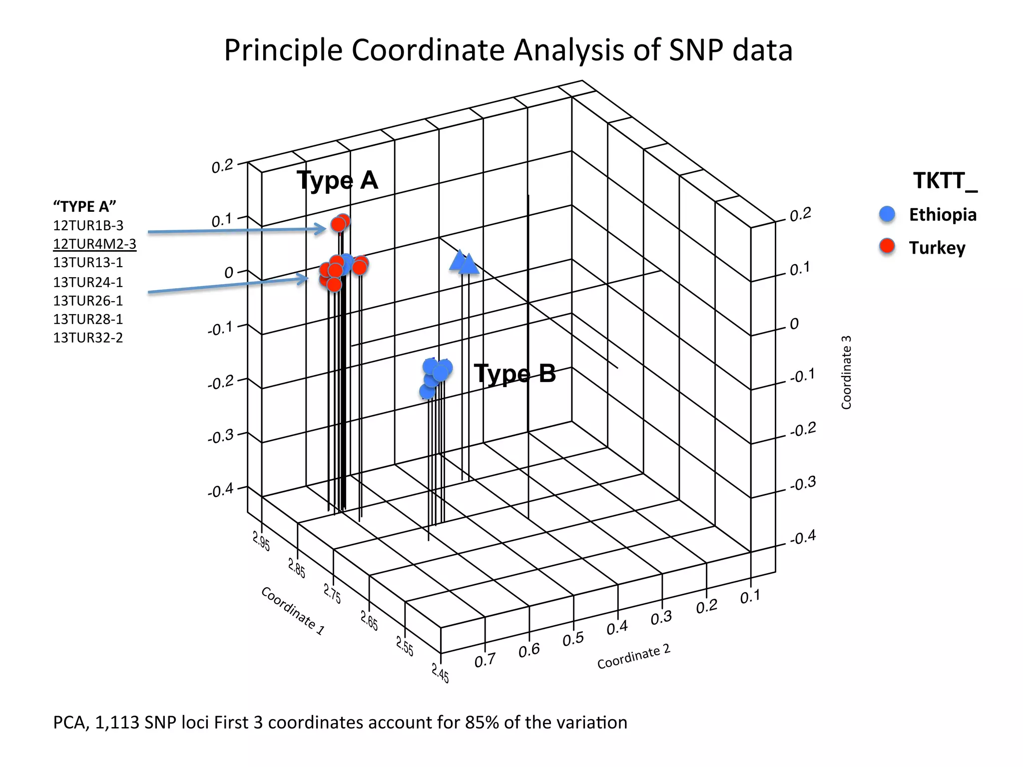 0.2
0.1
0
-0.1
-0.2
-0.3
-0.4
TE
TTT
ET E
T
E
T
E
T
T
TT
EEEEEE
E
-0.4
-0.3
-0.2
-0.1
0
0.1
0.2
2.45
2.55
2.65
2.75
2.85
2.95
0.1
0.2
0.3
0.4
0.5
0.6
0.7 Coordinate	
  2	
  
Coordinate	
  3	
  
Ethiopia	
  
Turkey	
  
TKTT_	
  
“TYPE	
  A”	
  
12TUR1B-­‐3	
  
12TUR4M2-­‐3	
  
13TUR13-­‐1	
  
13TUR24-­‐1	
  
13TUR26-­‐1	
  
13TUR28-­‐1	
  
13TUR32-­‐2	
  
Principle	
  Coordinate	
  Analysis	
  of	
  SNP	
  data	
  
Type A
Type B
PCA,	
  1,113	
  SNP	
  loci	
  First	
  3	
  coordinates	
  account	
  for	
  85%	
  of	
  the	
  variaJon	
  
 