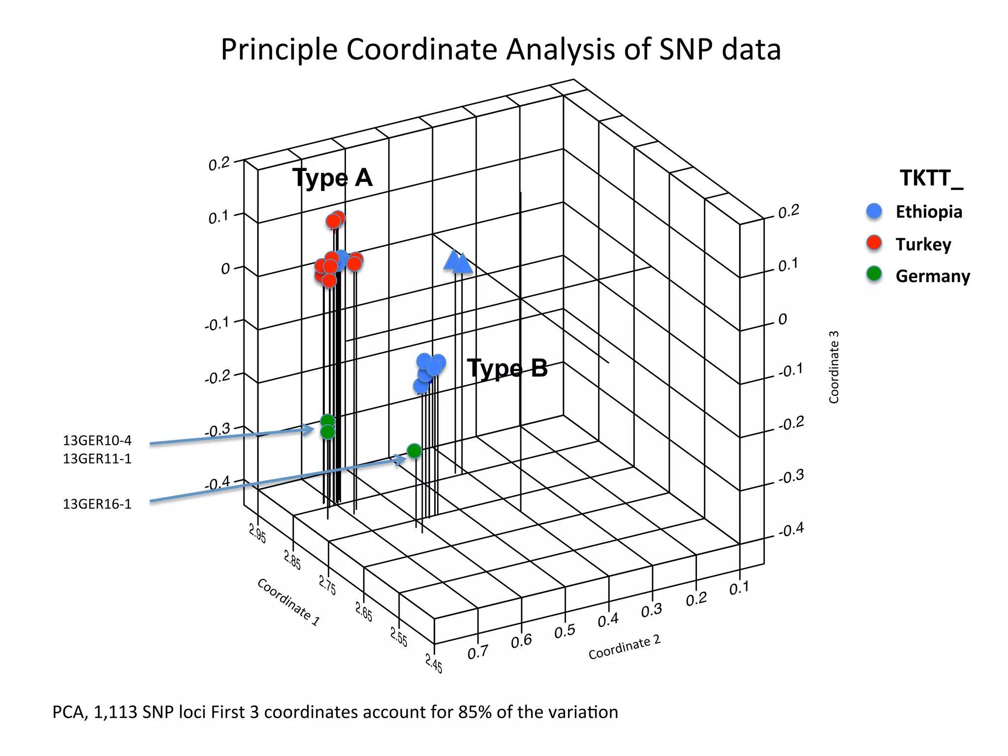 0.2
0.1
0
-0.1
-0.2
-0.3
-0.4
TE
TTT ET E
T
E
T
E
T
T
T
G
G
T
EEEEEE
G
E
-0.4
-0.3
-0.2
-0.1
0
0.1
0.2
2.45
2.55
2.65
2.75
2.85
2.95
0.1
0.2
0.3
0.4
0.5
0.6
0.7 Coordinate	
  2	
  
Coordinate	
  3	
  
Ethiopia	
  
Turkey	
  
Germany	
  
TKTT_	
  
13GER10-­‐4	
  
13GER11-­‐1	
  
13GER16-­‐1	
  
Principle	
  Coordinate	
  Analysis	
  of	
  SNP	
  data	
  
Type A
Type B
PCA,	
  1,113	
  SNP	
  loci	
  First	
  3	
  coordinates	
  account	
  for	
  85%	
  of	
  the	
  variaJon	
  
 