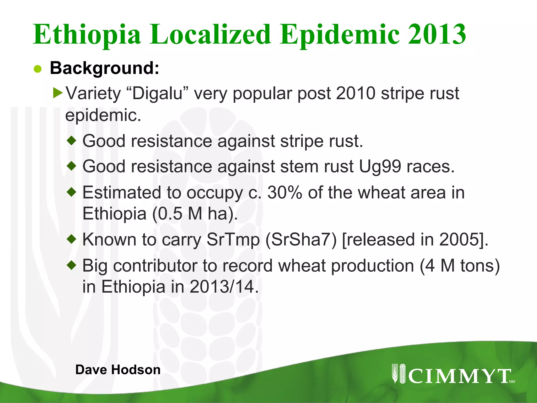 Ethiopia Localized Epidemic 2013
●  Background:
„ Variety “Digalu” very popular post 2010 stripe rust
epidemic.
® Good resistance against stripe rust.
® Good resistance against stem rust Ug99 races.
® Estimated to occupy c. 30% of the wheat area in
Ethiopia (0.5 M ha).
® Known to carry SrTmp (SrSha7) [released in 2005].
® Big contributor to record wheat production (4 M tons)
in Ethiopia in 2013/14.
Dave Hodson
 