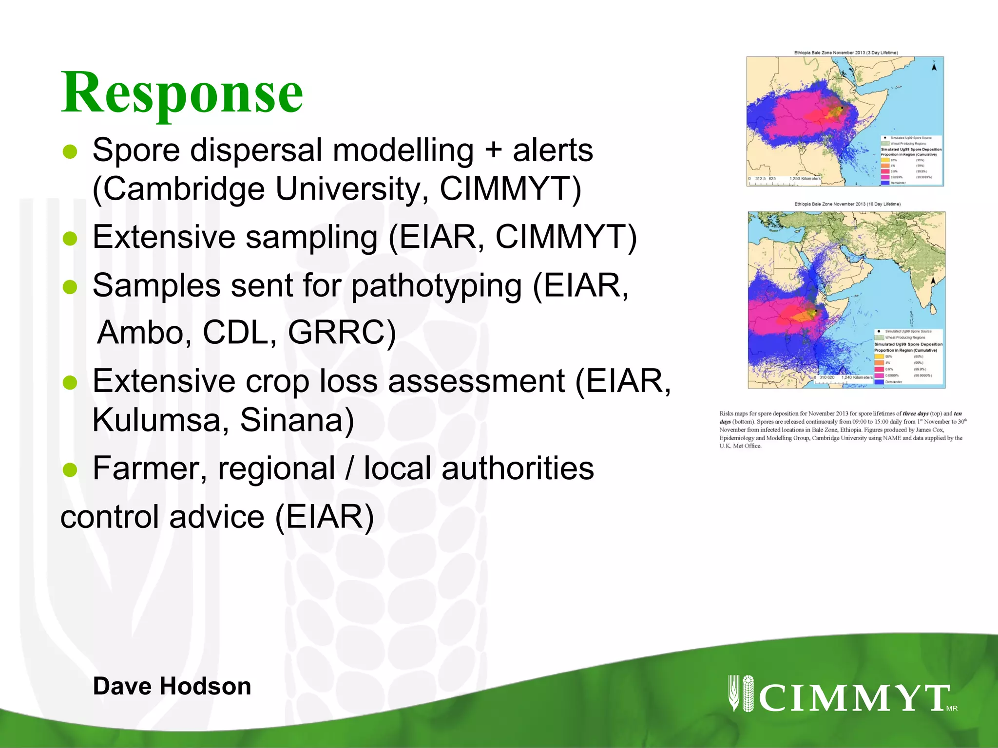 Response
●  Spore dispersal modelling + alerts
(Cambridge University, CIMMYT)
●  Extensive sampling (EIAR, CIMMYT)
●  Samples sent for pathotyping (EIAR,
Ambo, CDL, GRRC)
●  Extensive crop loss assessment (EIAR,
Kulumsa, Sinana)
●  Farmer, regional / local authorities
control advice (EIAR)
Dave Hodson
 