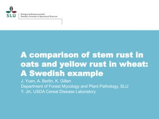 A comparison of stem rust in
oats and yellow rust in wheat:
A Swedish example
J. Yuen, A. Berlin, K. Gillen
Department of Forest Mycology and Plant Pathology, SLU
Y. Jin, USDA Cereal Disease Laboratory
 