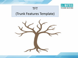 TFT
(Trunk Features Template)
 