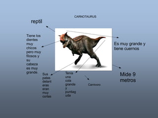 CARNOTAURUS 
reptil 
Es muy grande y 
tiene cuernos 
Mide 9 
metros 
Tiene los 
dientes 
muy 
chicos 
pero muy 
filosos y 
su 
cabeza 
es muy 
grande. 
Sus 
patas 
delant 
eras 
eran 
muy 
cortas 
Tenía 
una 
cola 
grande 
y 
puntiag 
uda 
Carnivoro 
 