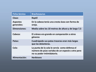Ficha técnica Brachosaurus 
Clase: Reptil 
Aspectos 
generales: 
En la cabeza tenía una cresta ósea con forma de 
oreja. 
Dimensiones: Media sobre los 10 metros de altura y de largo 7,5 
Cabeza: El cráneo era grande en comparación a otros 
géneros 
Patas: Cuadrúpedo sus patas traseras eran más largas 
que las delanteras. 
Cola: La punta de la cola le servía como defensa el 
número de púas variaba de un especie a otra pero 
no su poder Intimidatorio. 
Alimentación: Herbívoro 
 