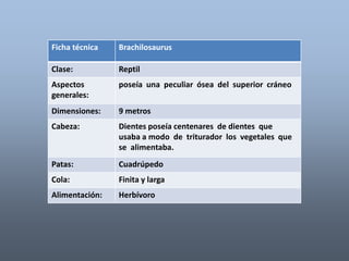 Ficha técnica Brachilosaurus 
Clase: Reptil 
Aspectos 
generales: 
poseía una peculiar ósea del superior cráneo 
Dimensiones: 9 metros 
Cabeza: Dientes poseía centenares de dientes que 
usaba a modo de triturador los vegetales que 
se alimentaba. 
Patas: Cuadrúpedo 
Cola: Finita y larga 
Alimentación: Herbívoro 
 