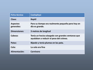 Ficha técnica Coelophysi 
Clase: Reptil 
Aspectos 
generales: 
Para su tiempo era realmente pequeño pero hoy en 
día es grande. 
Dimensiones: 3 metros de longitud 
Cabeza: Tenía un hocico alargado con grandes ventanas que 
ayudaban a reducir el peso del cráneo. 
Patas: Bípedo y tenía plumas en las pata. 
Cola: La cola era fina 
Alimentación: Carnívoro 
 