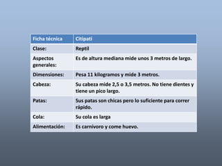 Ficha técnica Citipati 
Clase: Reptil 
Aspectos 
generales: 
Es de altura mediana mide unos 3 metros de largo. 
Dimensiones: Pesa 11 kilogramos y mide 3 metros. 
Cabeza: Su cabeza mide 2,5 o 3,5 metros. No tiene dientes y 
tiene un pico largo. 
Patas: Sus patas son chicas pero lo suficiente para correr 
rápido. 
Cola: Su cola es larga 
Alimentación: Es carnívoro y come huevo. 
 