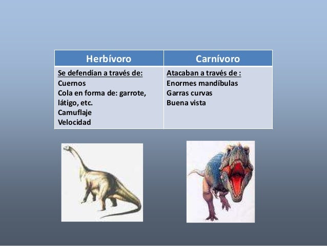 20143Alos dinosaurios