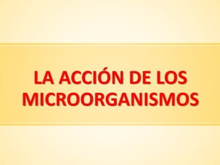 LA ACCIÓN DE LOS
MICROORGANISMOS
 