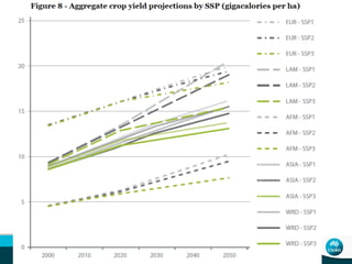 African livestock futures: Realizing the potential of livestock for poverty alleviation, food security and the environment