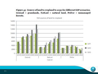 African livestock futures: Realizing the potential of livestock for poverty alleviation, food security and the environment