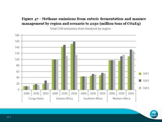 African livestock futures: Realizing the potential of livestock for poverty alleviation, food security and the environment