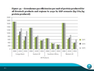 African livestock futures: Realizing the potential of livestock for poverty alleviation, food security and the environment