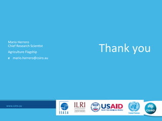 African livestock futures: Realizing the potential of livestock for poverty alleviation, food security and the environment