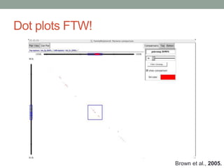 Dot plots FTW! 
Brown et al., 2005. 
 
