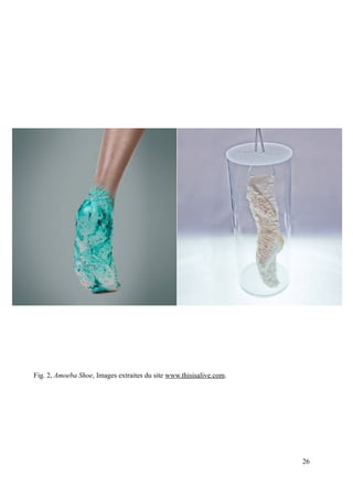Fig. 2, Amoeba Shoe, Images extraites du site www.thisisalive.com.
26
 