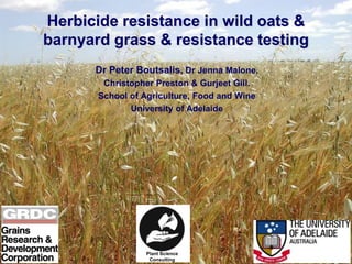 Herbicide resistance in wild oats &
barnyard grass & resistance testing
Dr Peter Boutsalis, Dr Jenna Malone,
Christopher Preston & Gurjeet Gill.
School of Agriculture, Food and Wine
University of Adelaide
Plant Science
Consulting
 