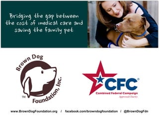 www.BrownDogFoundation.org / facebook.com/browndogfoundation / @BrownDogFdn 
 