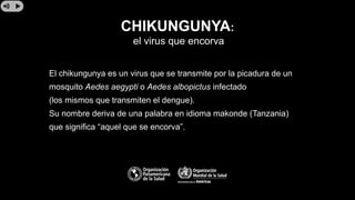 CHIKUNGUNYA:
el virus que encorva
El chikungunya es un virus que se transmite por la picadura de un
mosquito Aedes aegypti o Aedes albopictus infectado
(los mismos que transmiten el dengue).
Su nombre deriva de una palabra en idioma makonde (Tanzania)
que significa “aquel que se encorva”.
 