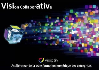 1 
Vision Collaborative  
