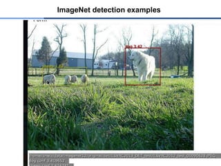 ImageNet detection examples
 