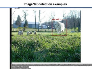ImageNet detection examples
 