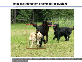 ImageNet detection examples: occlusions
 