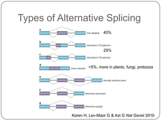 Types of Alternative Splicing
40%

25%

<5%, more in plants, fungi, protozoa

Karen H, Lev-Maor G & Ast G Nat Genet 2010

 