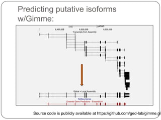 Predicting putative isoforms
w/Gimme:

Source code is publicly available at https://github.com/ged-lab/gimme.git

 
