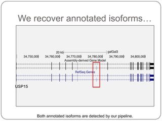 We recover annotated isoforms…

USP15

Both annotated isoforms are detected by our pipeline.

 