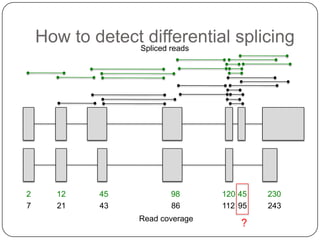 How to detectSpliced reads
differential splicing

2
7

12
21

45
43

98
86

Read coverage

120 45
112 95

?

230
243

 