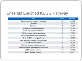 Ensembl Enriched KEGG Pathway
Term

Count

Benjamin

Cytokine-cytokine receptor interaction

36

6.2E-02

Lysosome

25

1.2E-01

Apoptosis

19

3.5E-01

Arginine and proline metabolism

12

3.1E-01

Starch and sucrose metabolism

9

3.4E-01

Toll-like receptor signaling pathway

19

3.7E-01

Natural killer cell mediated cytotoxicity

17

3.4E-01

Cytosolic DNA-sensing pathway

9

4.2E-01

Valine, leucine and isoleucine degradation

11

4.1E-01

Glutathione metabolism

10

4.3E-01

NOD-line receptor signaling pathway

11

4.6E-01

Intestinal immune network for IgA production

9

5.6E-01

VEGF signaling pathway

14

5.6E-01

PPAR signaling pathway

13

6E-01

 
