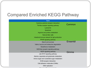 Compared Enriched KEGG Pathway
Term
Cytokine-cytokine receptor interaction
Toll-like receptor signaling pathway

Common

Lysosome
Apoptosis

Arginine and proline metabolism
Natural killer cells
Intestinal immune network for IgA production
PPAR signaling pathway
Starch and sucrose

Ensembl

Valine, leucine and isoleucine degradation
Glutathione metabolism
NOD-like receptor signaling pathway
VEGF signaling pathway
Jak-STAT signaling pathway
Alanine, aspartate and glutamate metabolism
Amino sugar and nucleotide sugar metabolism
ECM-receptor interaction
Cell adhesion molecules (CAMs)
DNA replication

Gimme

 