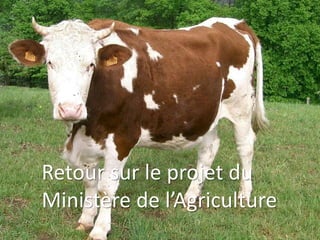 Retour sur le projet du 
Ministère de l’Agriculture 
 