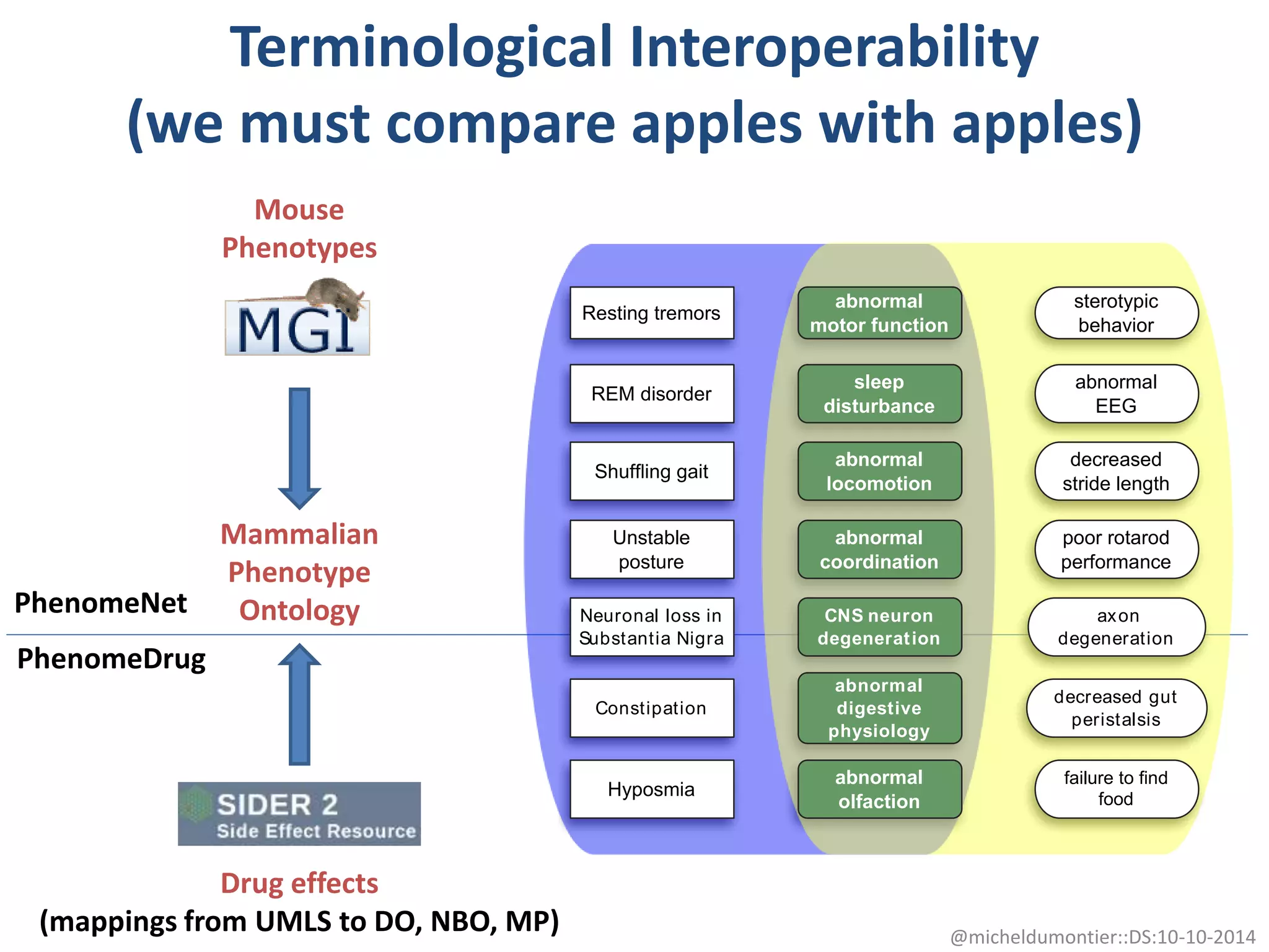 Terminological Interoperability
(we must compare apples with apples)
Mouse
Phenotypes
Drug effects
(mappings from UMLS to DO, NBO, MP)
Mammalian
Phenotype
OntologyPhenomeNet
PhenomeDrug
@micheldumontier::DS:10-10-2014
poor
coordination
decreased gut
peristalsis
axon
degeneration
decreased
stride length
erotypic
ehavior
Abnormal
EEG
failure to ﬁnd
food
Unstable
posture
Constipation
Neuronal loss in
Substantia Nigra
Shufﬂing gait
Resting tremors
REM disorder
Hyposmia
poor rotarod
performance
decreased gut
peristalsis
axon
degeneration
decreased
stride length
sterotypic
behavior
abnormal
EEG
failure to ﬁnd
food
abnormal
coordination
abnormal
digestive
physiology
CNS neuron
degeneration
abnormal
locomotion
abnormal
motor function
sleep
disturbance
abnormal
olfaction
 