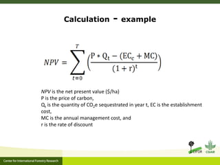 Ecosystem Services in plantations: from economic valuations to market-based instruments