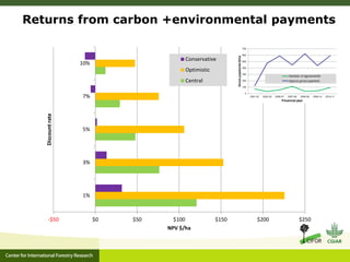Ecosystem Services in plantations: from economic valuations to market-based instruments