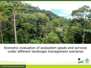 Ecosystem Services in plantations: from economic valuations to market-based instruments