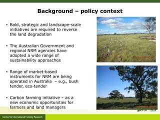 Ecosystem Services in plantations: from economic valuations to market-based instruments