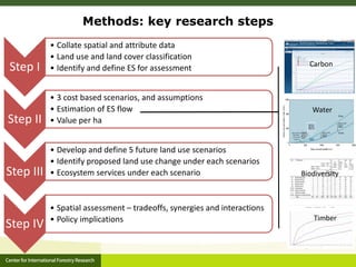 Ecosystem Services in plantations: from economic valuations to market-based instruments