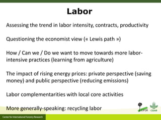 Labor
Assessing the trend in labor intensity, contracts, productivity
Questioning the economist view (« Lewis path »)
How ...