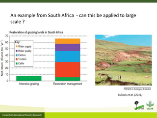Developing partnerships between CIFOR and the private plantation sector