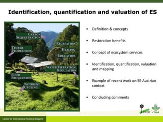 Identifying, quantifying and valuing ecosystem services in the context ...
